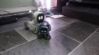 loona petbot and emo pet playing