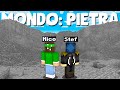 GIOCO A MINECRAFT IN UN MONDO SOLO PIETRA!