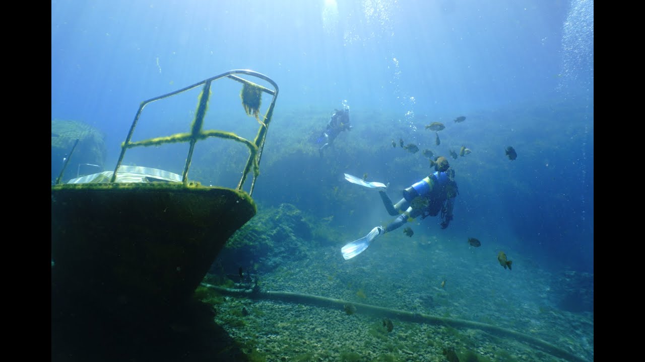 Vortex Springs In 4k!!! Night dive, Sunken sailboat, Eels and more