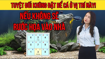 Tuyệt Đối Không Đặt Bể Cá Ở Vị Trí Này Nếu Không Sẽ Rước Họa Vào Nhà