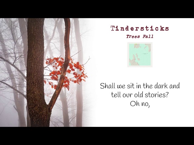 Tindersticks – Trees Fall (Lyrics)
