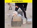 Amazing facts #shorts @MR. INDIAN HACKER @Fact Beast @Crazy XYZ @FactTechz