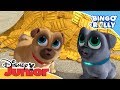 Bingo y Rolly: Momentos Mágicos - La Olla de Oro | Disney Junior Oficial