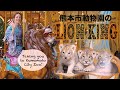【Eng Subs】熊本市動物園の復興の様子 // Visiting Kumamoto City Zoo