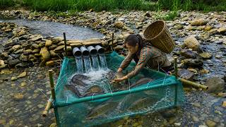 [TIMELAPSE] -- 9850 Days My Advanced Fish Trapping Skills PVC Pipes, Bamboo, And Rocks! News