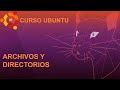 Ficheros y directorios Linux | Comandos mkdir,cp,mv,rmdir | 04 archivos y directorios Ubuntu 20.04