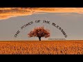 “10 Reasons to Tithe” | Bishop Getties L. Jackson Sr.