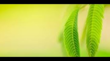 RPA | Blue Prism Tutorial | English - Part 11 -  Code Stage - Global Code