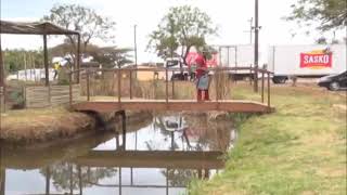 Abasemkhuze Ngithi Thula