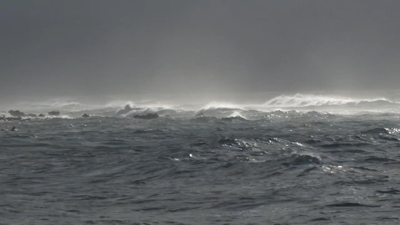 In the Storm- Spot the moving Object