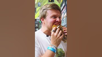 My first time in the Netherlands 🇳🇱