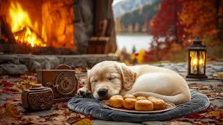 12 Hours Of Dog Calming Music 🎵 Dog Bedtime Music 💖 Dog TV 🐶 Healing Sleep Tunes for Pets 🎵 No Ads