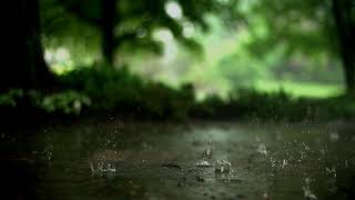 SOFT RAIN/SLOW MOTION/GOOD VIBES/MEDITATION/SOUNDS FOR SLEEPING/CALM SHOWERS/SLEEP DOCTOR. screenshot 5