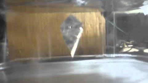 Artificial gravity experiment using electrodynamic field