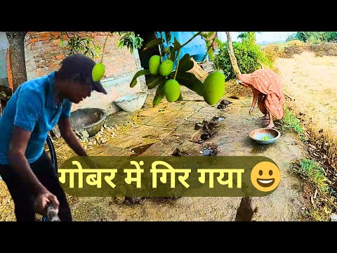 Sare Aam Gobar Mein Gire 😀