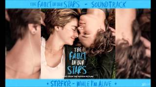 STRFKR - While I&#39;m Alive - TFiOS Soundtrack