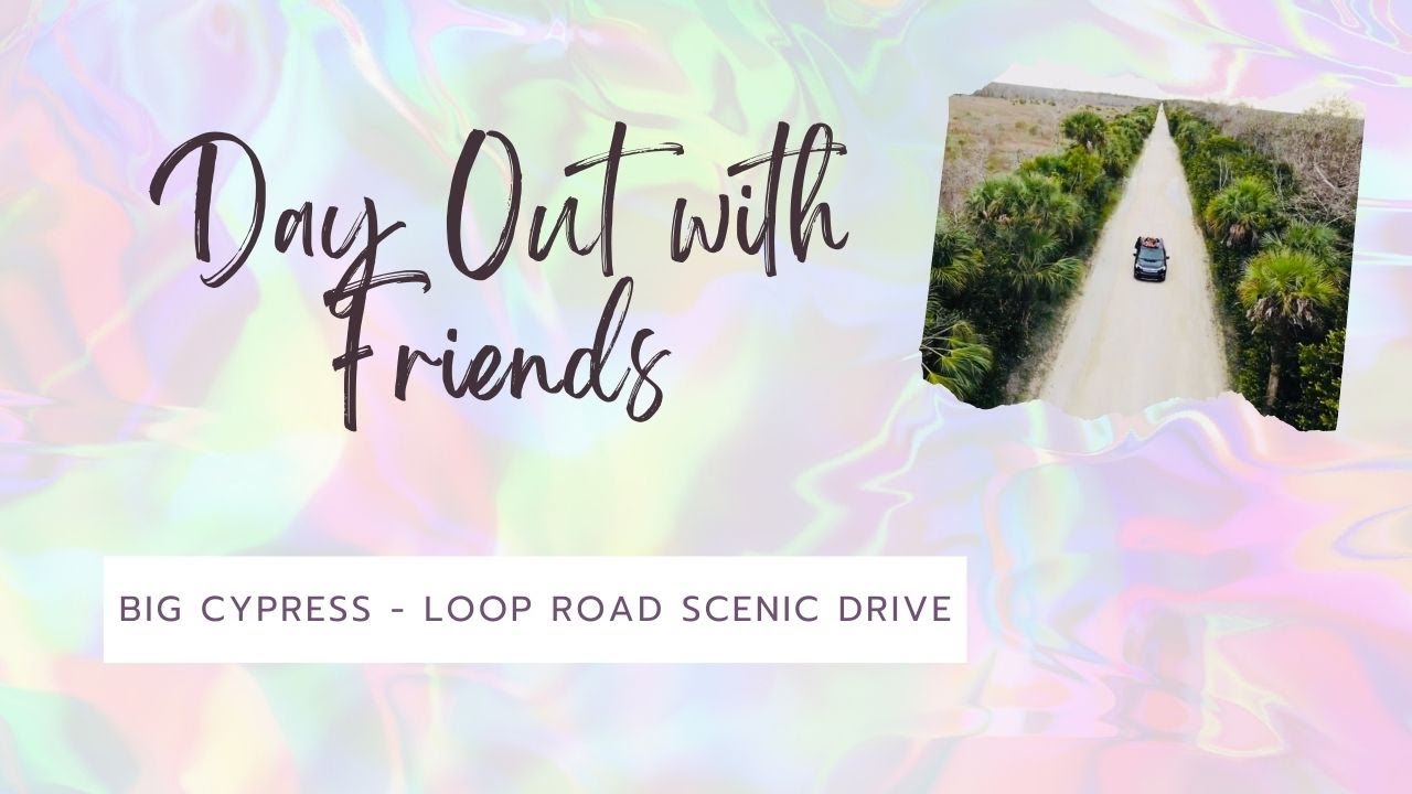 Exploring Loop Road: Big Cypress National Preserve, Florida