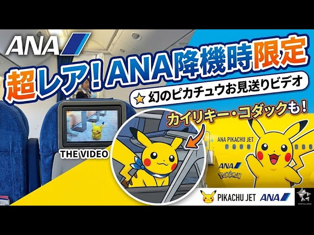 激レアANAポケモン】着陸時限定オリジナルビデオ（カイリキー 