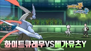 화이트큐레무VS메가뮤츠Y