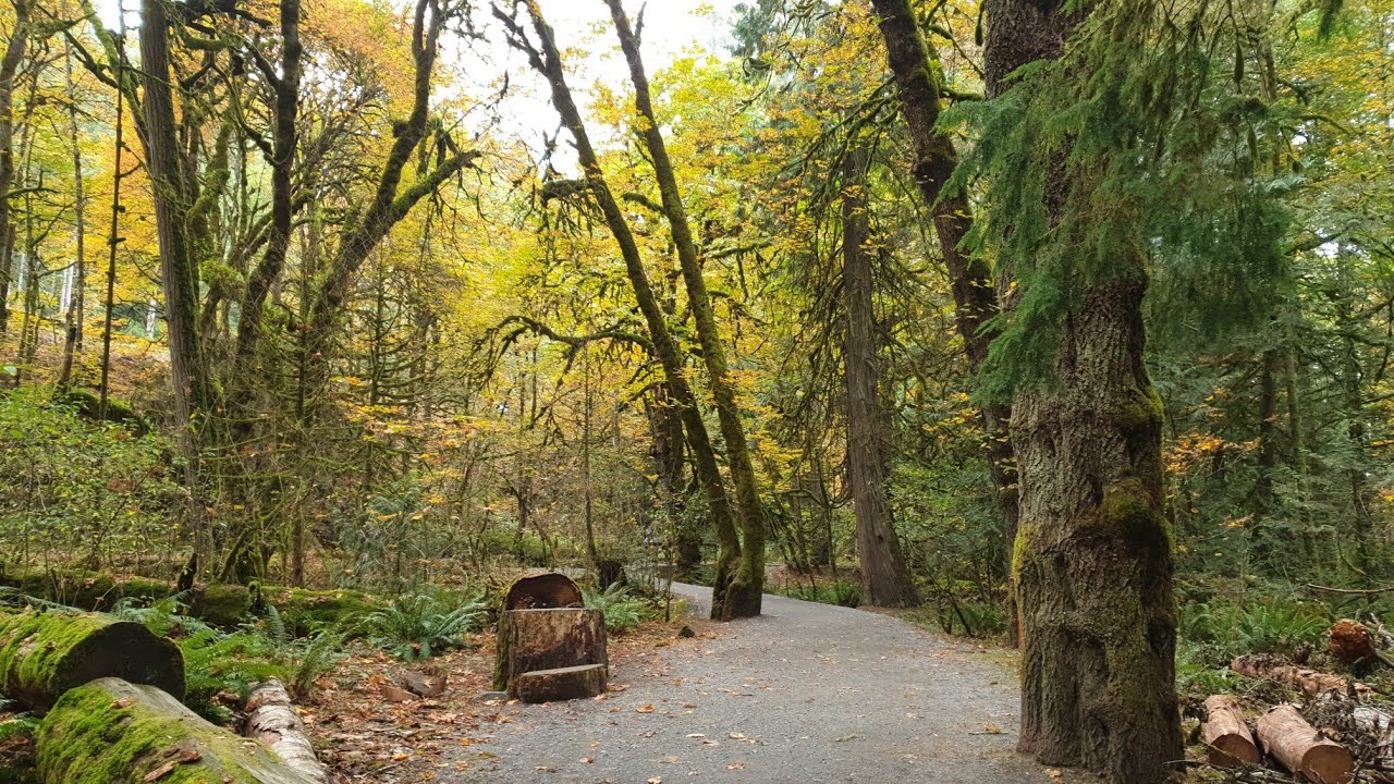 Goldstream Provincial Park, Langford, BC Victoria, BC, Canada 🇨🇦