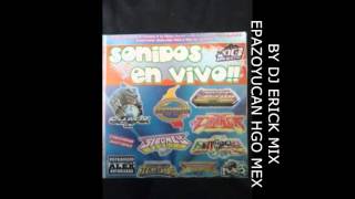 SONORAMICO 2015 LA GUARACHITA AE