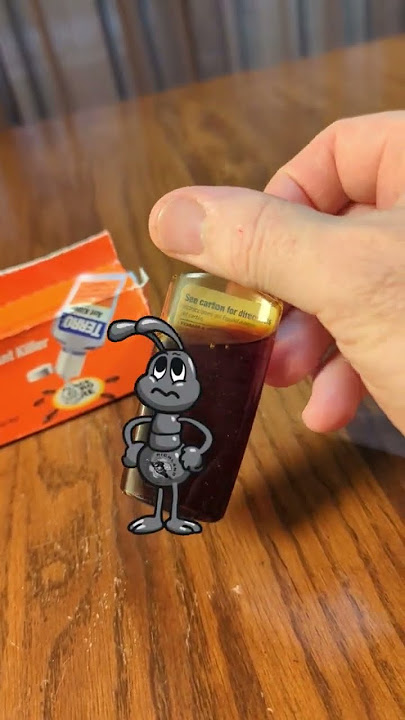 Most Effective Ant Killer for Home Use! I've Used Successfully For Years! #shorts