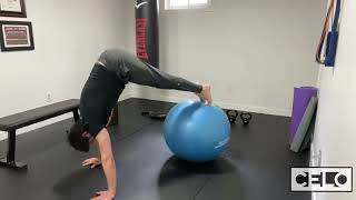 Advanced Dynamic Core Strength- Rolling Pikes