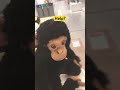 Stop yelling at me