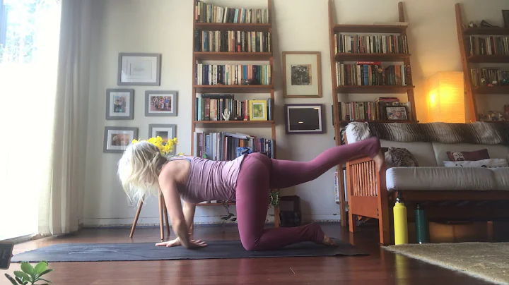 Flow 2/3 - Hips Twists into Yogi Dandasana