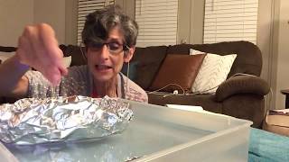 Experiments with Ms. Dianne: Sinking Tinfoil Boats with Pennies