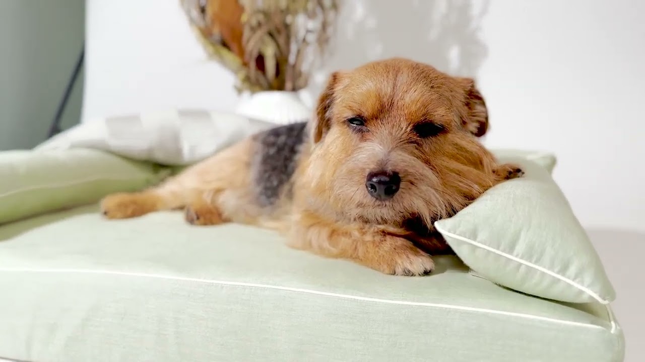 犬ベッド ロイヤルベッド用 ハッピーベッド用 洗える日本製