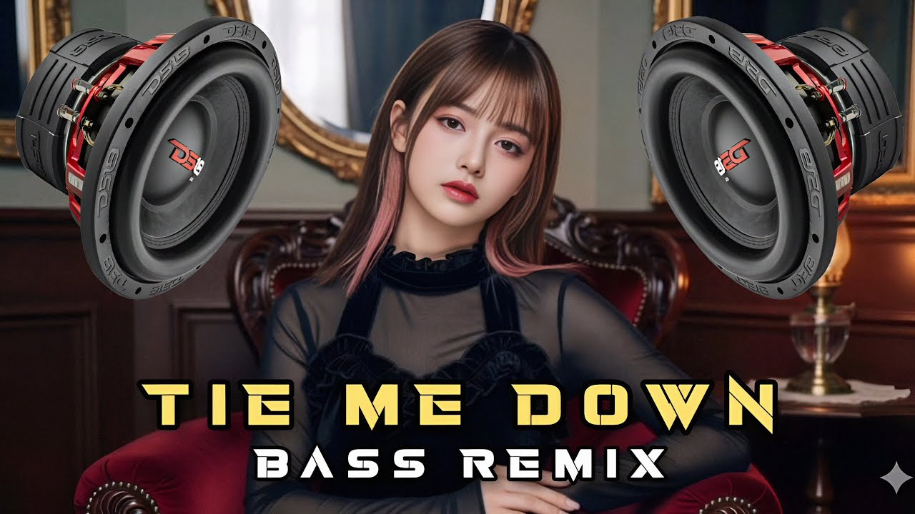 TIE ME DOWN (BASS REMIX) / DJ VINZKIE REMIX