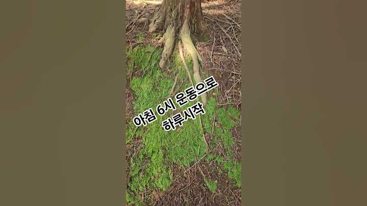 #하루100그릇파는국수집#신안동맛집 #경남맛집 #국수장사 #진주맛집 #아마칼국수#1인창업시대