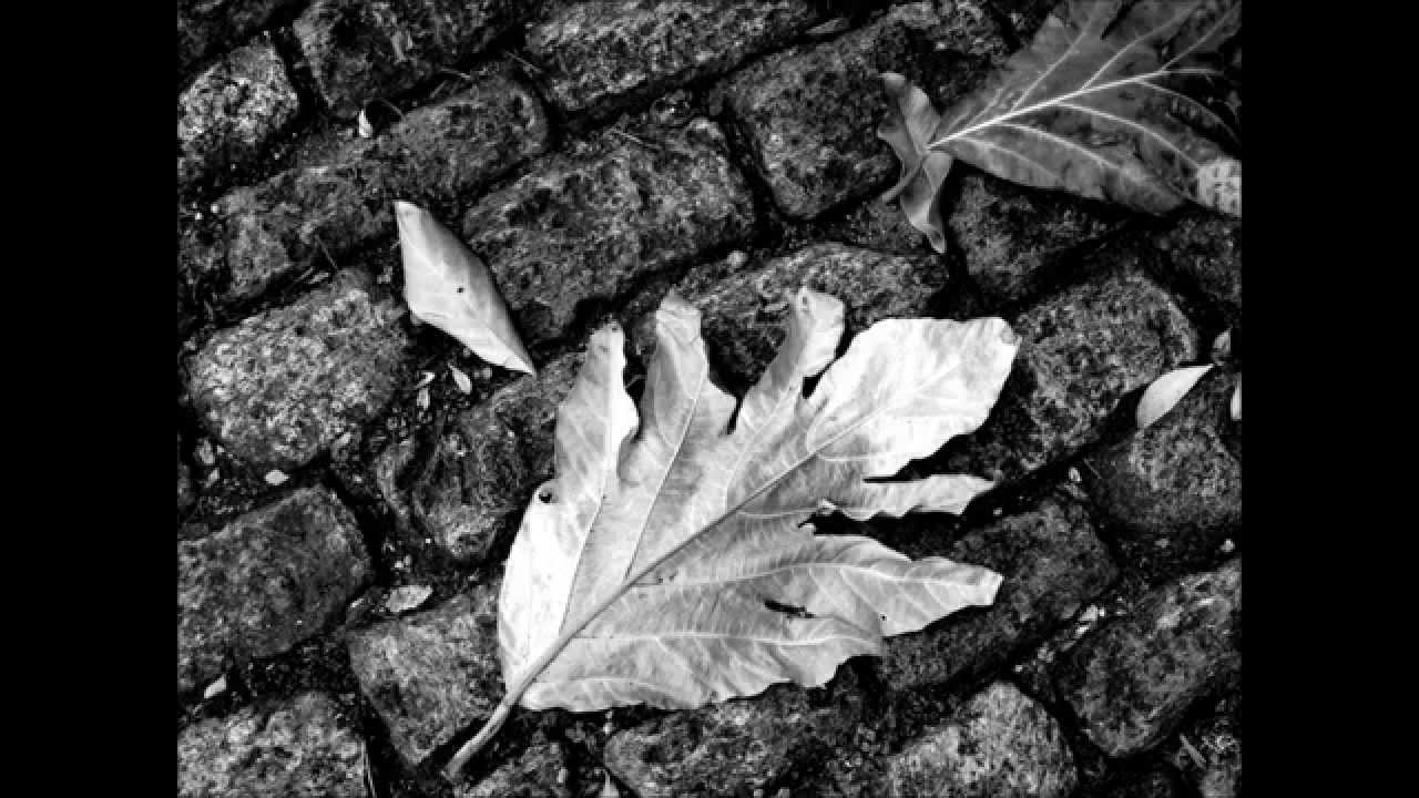 Recortes do Cotidiano Urbano nº1 - Wellerson Cassimiro, fotografia