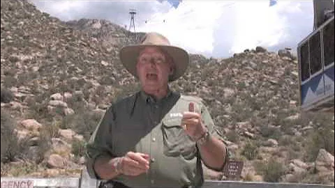 Travel Guide New Mexico tm, Sandia Peak Tramway, Albuquerque New Mexico