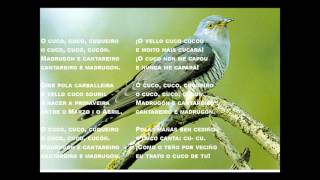 O CUCO SUSO VAAMONDE