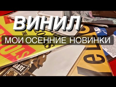 Видео: Винил диск гэж юу вэ