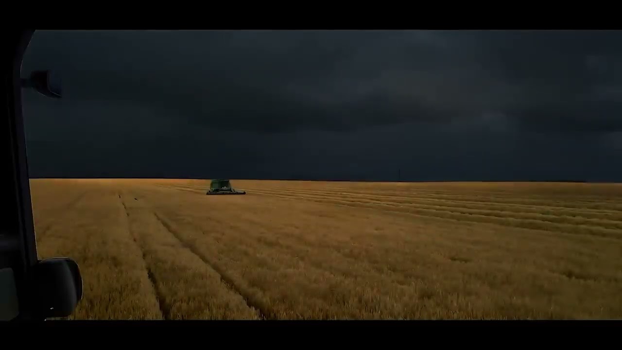 Thunderstorm Coming During Harvesting | No Rain | Calm Before The Storm 