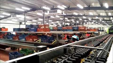 ΓΡΑΜΜΗ ΤΑΞΙΝΟΜΗΣΗΣ ΜΗΛΩΝ ΚΑΙ ΡΟΔΑΚΙΝΩΝ - APPLES AND PEACHES SORTING LINE - GEOSORT GREEFA