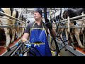 Eddie Walsh milking on a 20 unit Swing Parlour