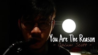 You Are The Reason - Calum Scott (acoustic cover by Leon)