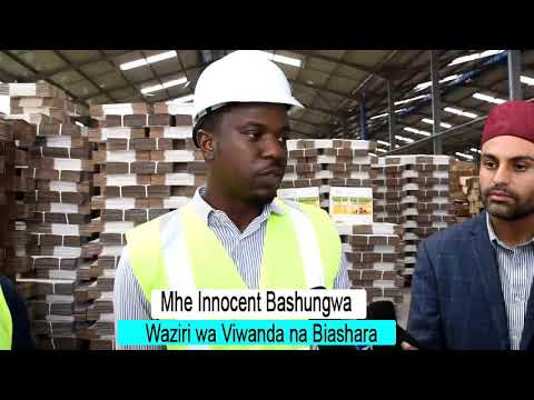 Download Bashungwa aviunganisha viwanda vya Tanzania na Misri