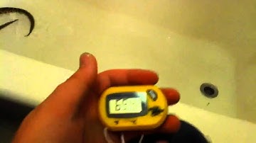 Ball python bath time!!!