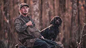 Gentleman’s Way Kennels’ Boykin Spaniels