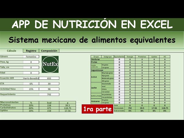 Tropical templado Casi muerto App de nutrición en Excel: Control del cálculo nutricional PRIMERA PARTE -  YouTube