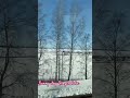 “Have you ever walked on a frozen lake in Finland?” #music #travel #youtubeshorts #finland