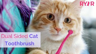 RYERCAT Indiegogo Campaign: The Dual Sided Cat Toothbrush by RYERCAT 1,496 views 1 year ago 4 minutes, 9 seconds