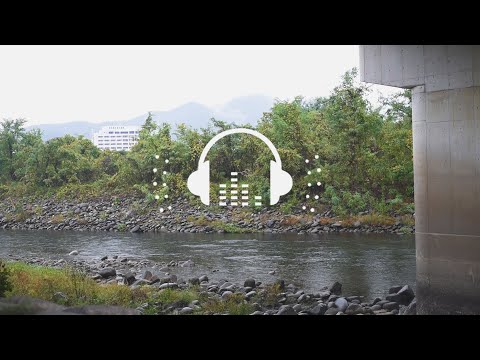 川辺の音 | 自然音 おと風景【ASMR 環境音】