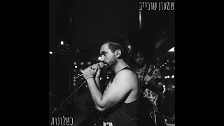 שמעון שובייב - כשלונות