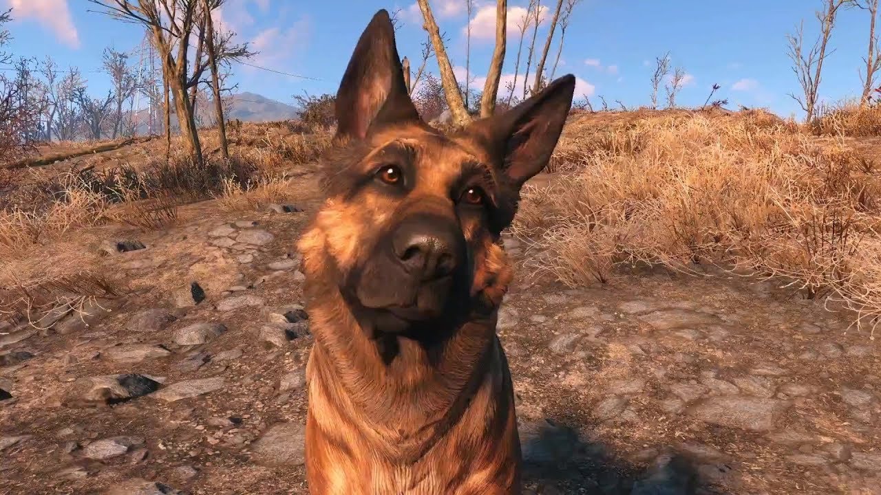 Fallout 4 псина баг фото 25